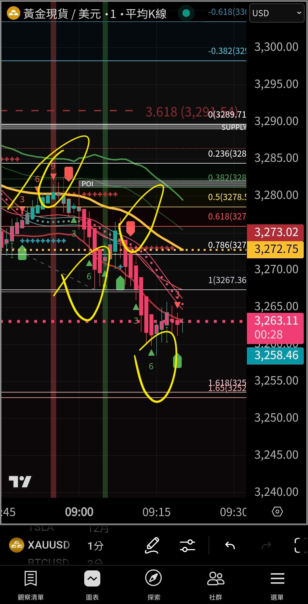 (Plan Anual)Celine Trade Concept Lite