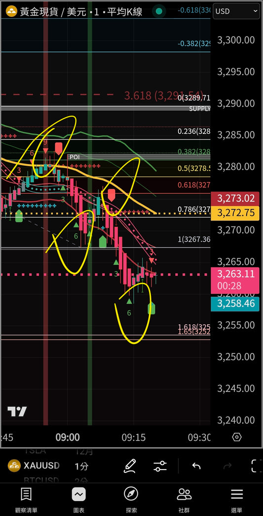 (Plan mensual) Celine Trade Concept Lite