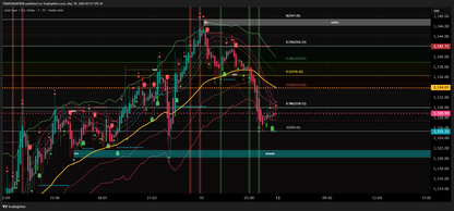 (Plan Anual)Celine Trade Concept Lite