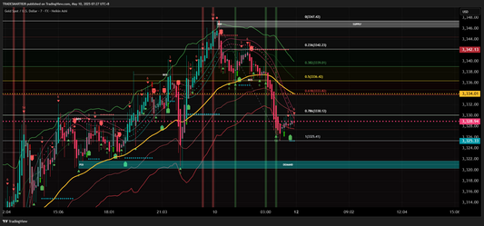 (Plan Anual)Celine Trade Concept Lite